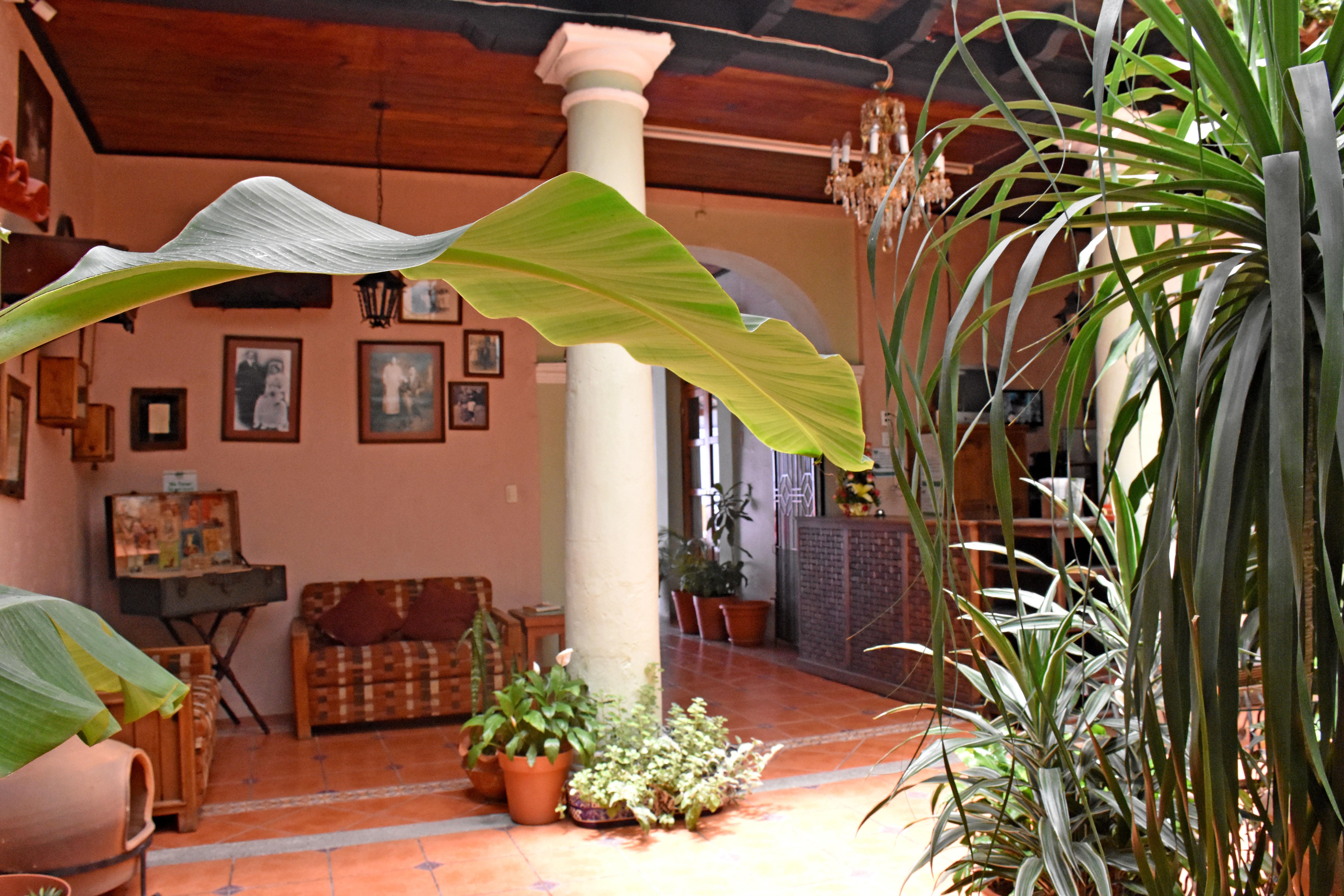 Hotel San Luis San Cristóbal de Las Casas Zewnętrze zdjęcie