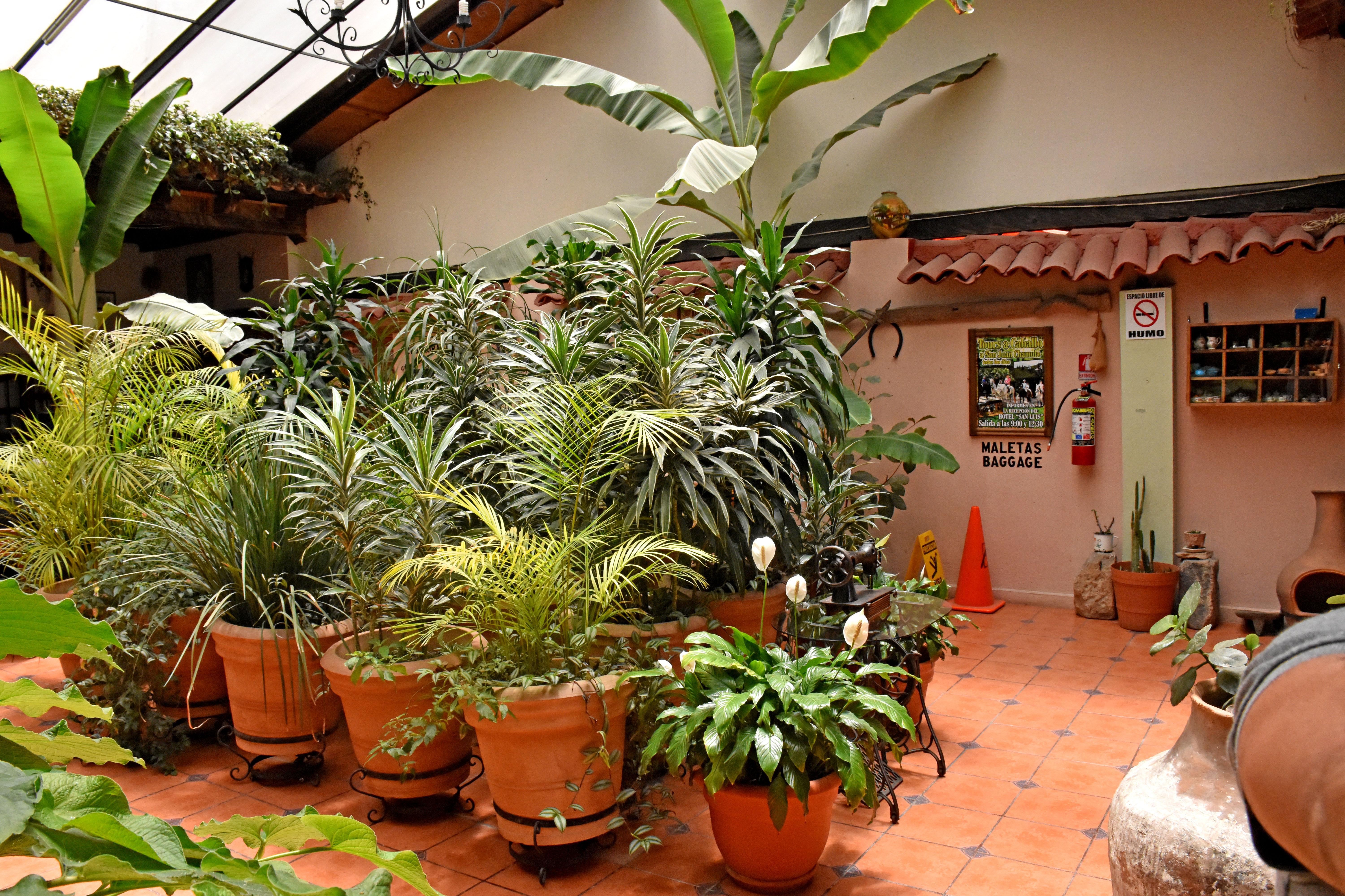 Hotel San Luis San Cristóbal de Las Casas Zewnętrze zdjęcie