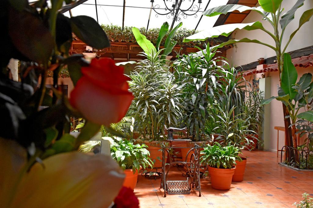 Hotel San Luis San Cristóbal de Las Casas Zewnętrze zdjęcie