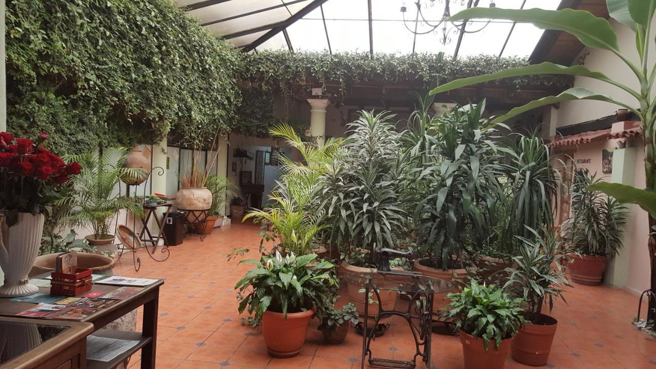 Hotel San Luis San Cristóbal de Las Casas Zewnętrze zdjęcie